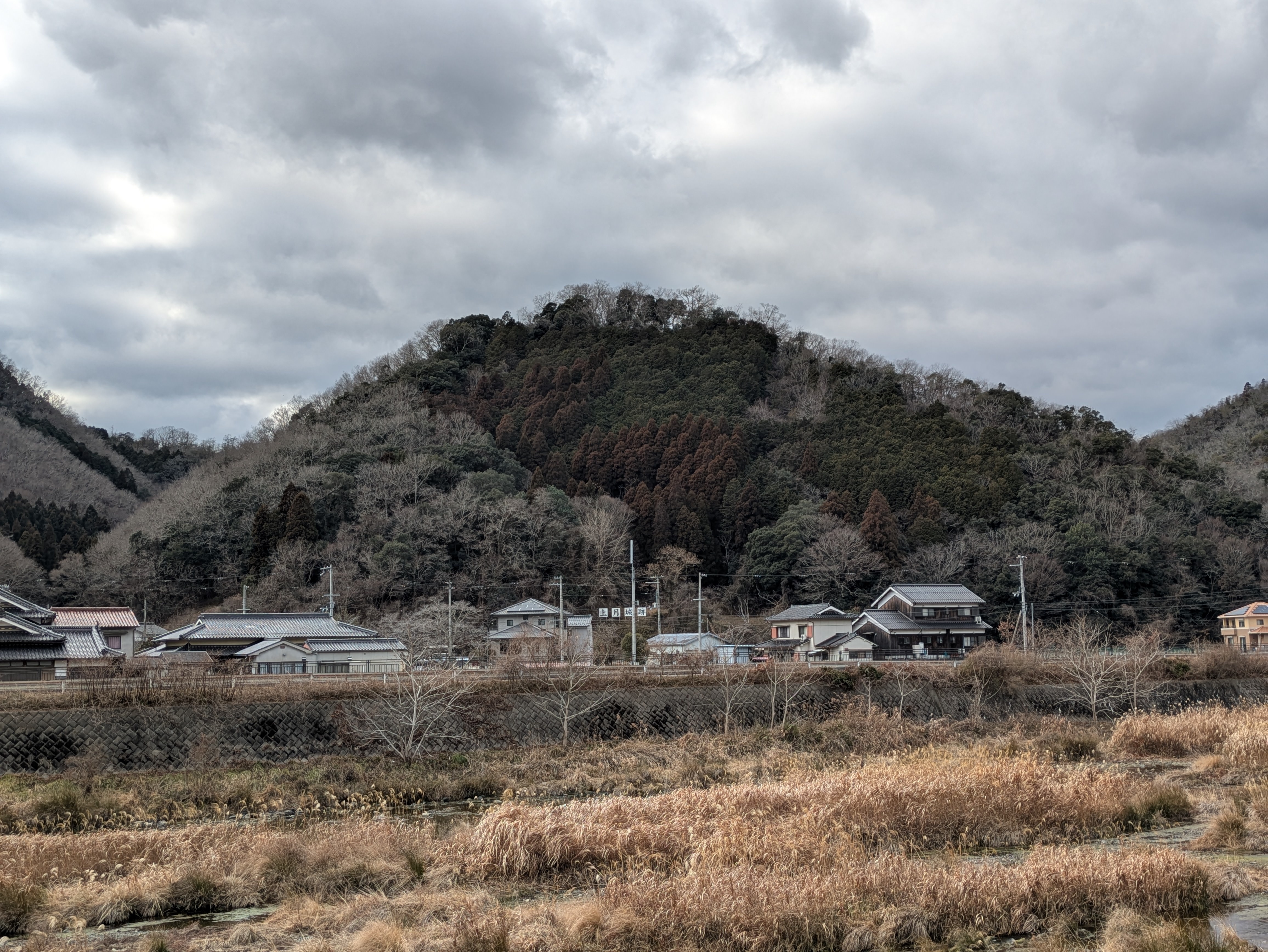 PXL_20260203_052708190