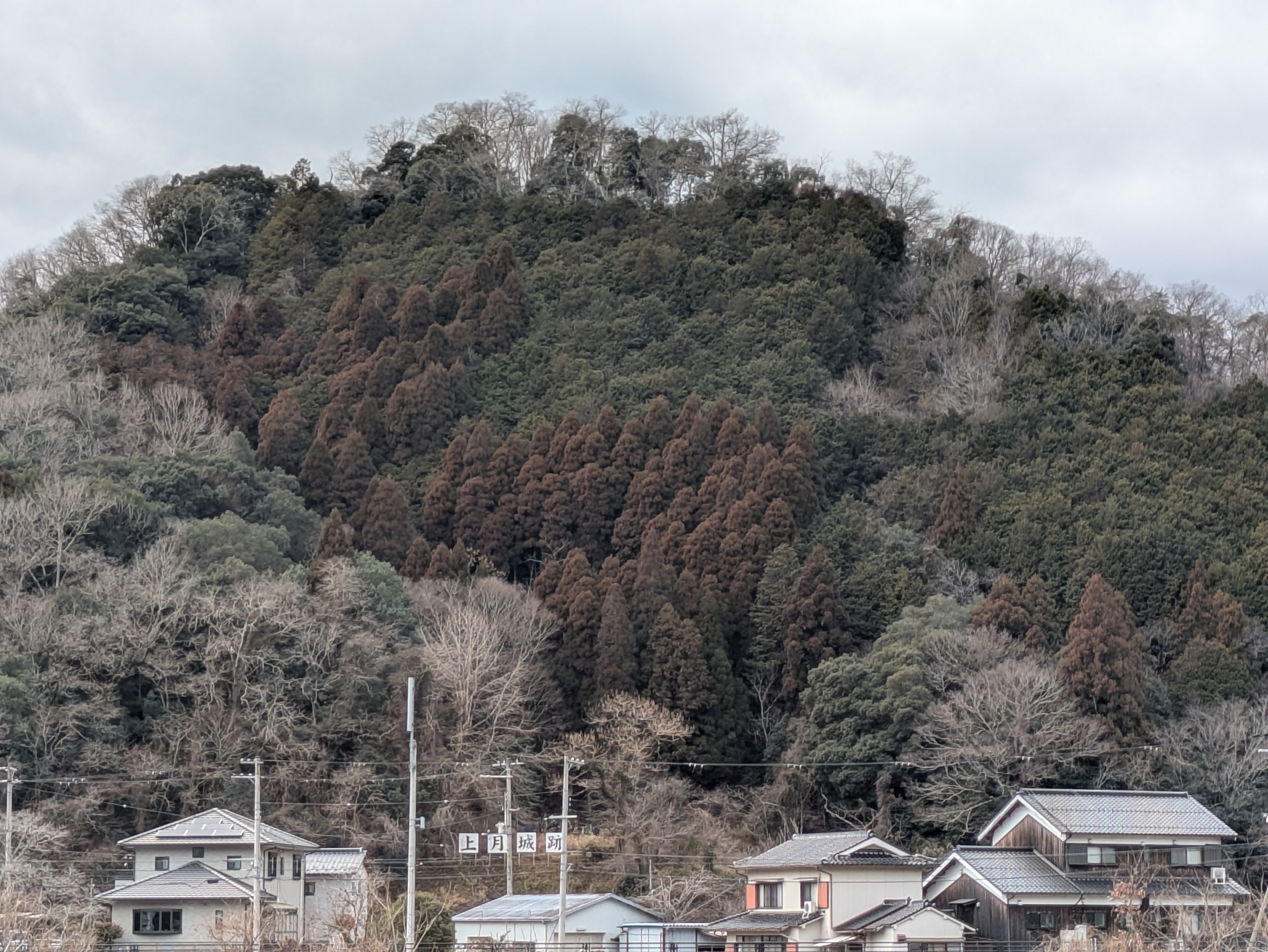 PXL_20260203_052726653